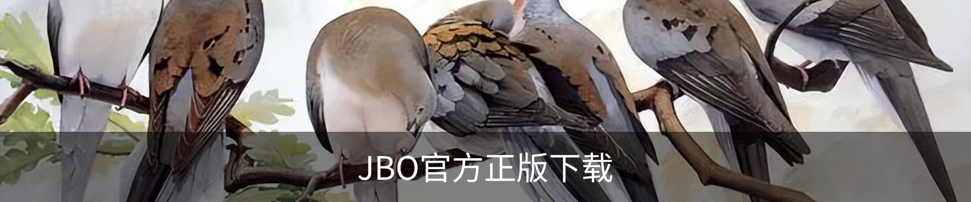 竞博(JBO)官方网站 - 官方认证入口